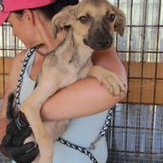 LOTTIE* - reserviert 4A