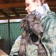 HELENA* - reserviert für Casa Animale (Ti)