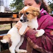 BALLERINA - reserviert Tierhilfe Lebenswert e.V. (MP)