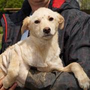 TABEA - reserviert Casa Animale