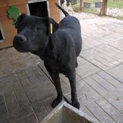 ONYX ist reserviert (NadineZ)