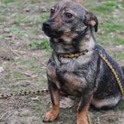 MADDY* - reserviert TH Korbach (P.)