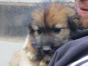 Simone sorgt für Bob.