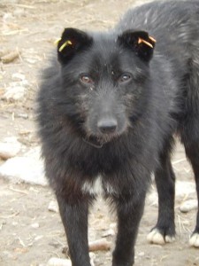 Liz aus Ploiesti