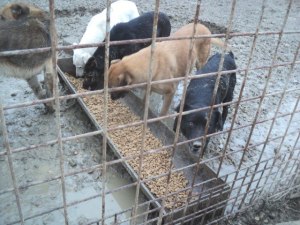 529824_553339954690990_102630773_n