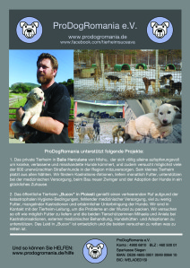 Helfen_Flyer