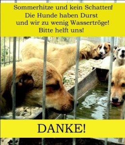 danke