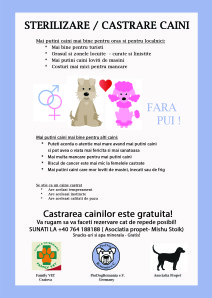 Castration_DinA5_RO
