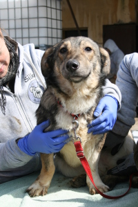 Greta11