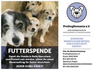 Hunde_Futterspende_gross