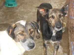 908272_652304841476920_938274934_n