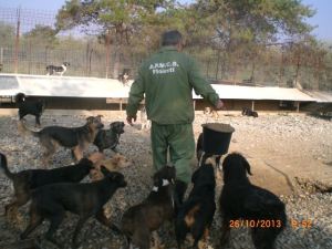 1380426_677423738949277_117973338_n