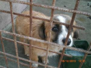 1473753_705769046114746_440588477_n