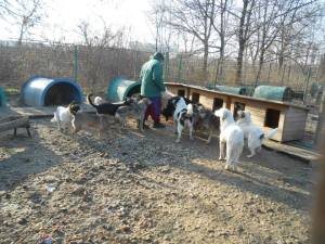 1474489_571358049609906_1320691068_n