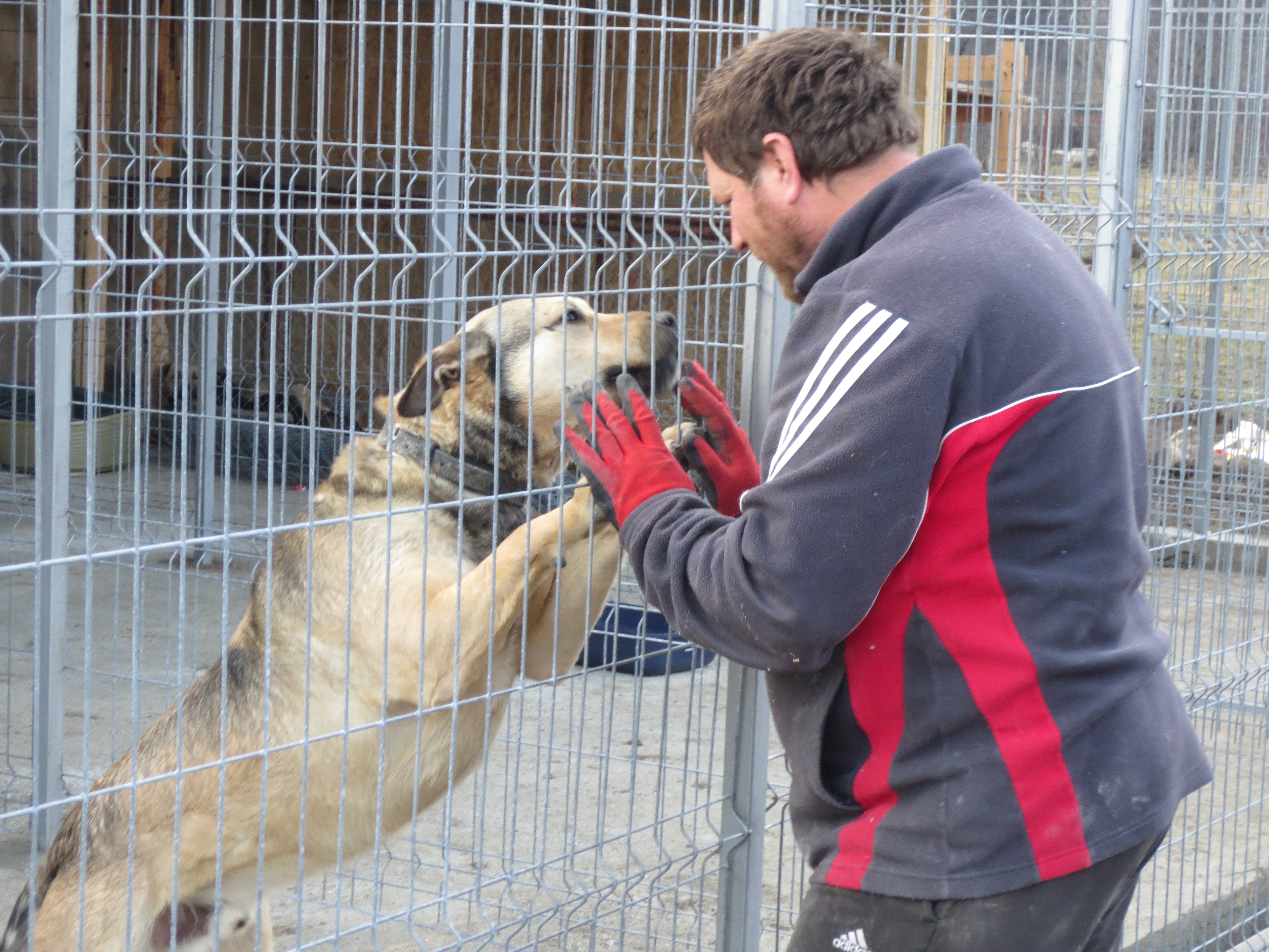 Projekt Baile Herculane Prodog Romania E V