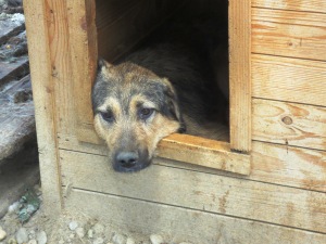 ???????????????????????????????