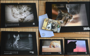 katzenkalender