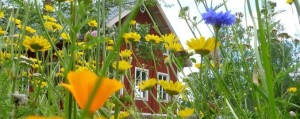 festival_schweden