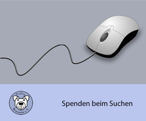 suchen Kopie