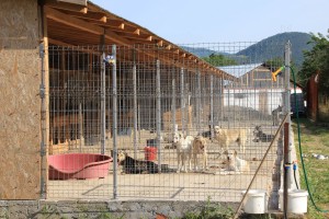 10900103_818327904906069_7606208857099310402_o