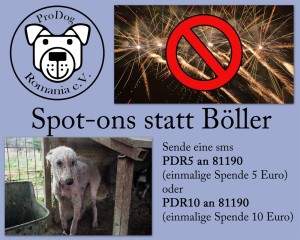Spotons