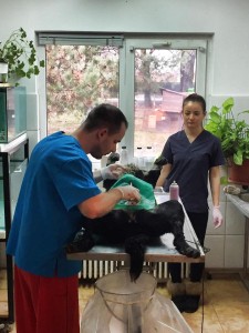 12631494_942129069186211_783584556605541449_n