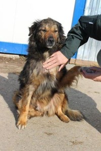 10399268_997681976975053_1755277811987843861_n