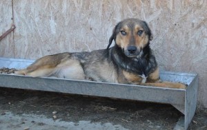 12719334_10201249837123615_5742214160125660164_o