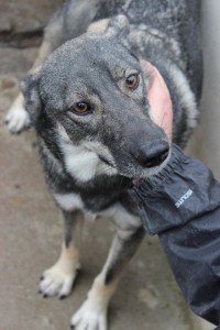 12898228_1098981993456573_1114560215836733416_o