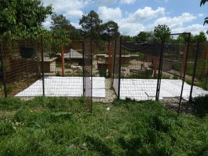 13230138_10206922730132393_6613387040942908511_n