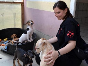 2016-05-27-Startbild