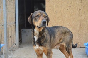 12873555_1152293274803523_14986717_o