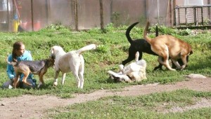 13690741_1062127033863880_4155437158955396058_n