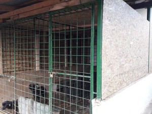 14991936_1166561946753721_1656866757637983268_n