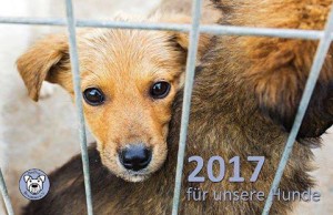 15027587_1150232775052782_5835662035596146313_n