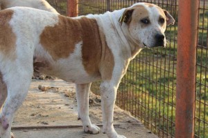 15078629_1164654663611116_5638751036158176158_n