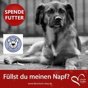 15135966_1280684191953018_7957622125688127833_n