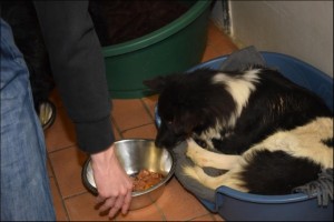 foto3