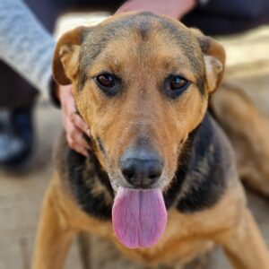 RONEET - reserviert Manuela vermittelt