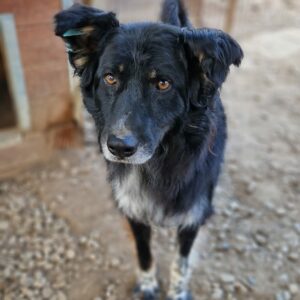 TITUS - reserviert Manuela vermittelt