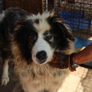 HUDSON - RBB 13.10.2021