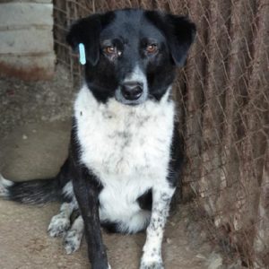 EENA - vermisst (seit 2021)