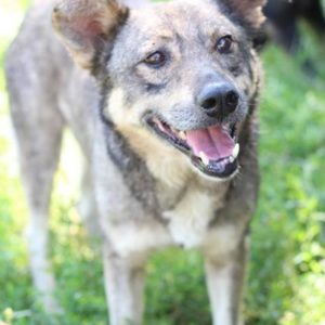 FINDUS - vermisst 08/21 -