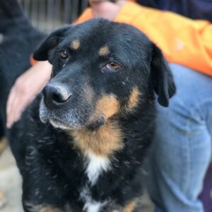 PRIMO - reserviert Manuela vermittelt