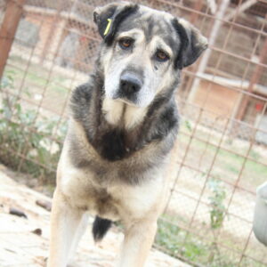 LYCOS - reserviert Manuela vermittelt