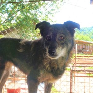 LENI - vermisst 05/2022