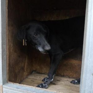 SARITA - reserviert NadineH - vermittelt