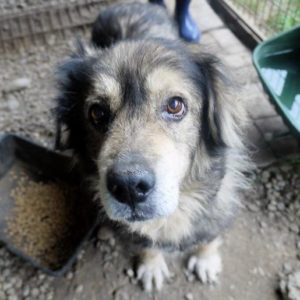 STROPP - RBB 06/2021