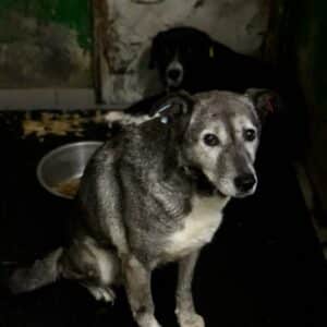 ENFY - seelischer Notfall - reserviert Nadine H. - vermittelt