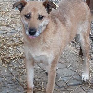 JUTTA - RBB 12.03.2022